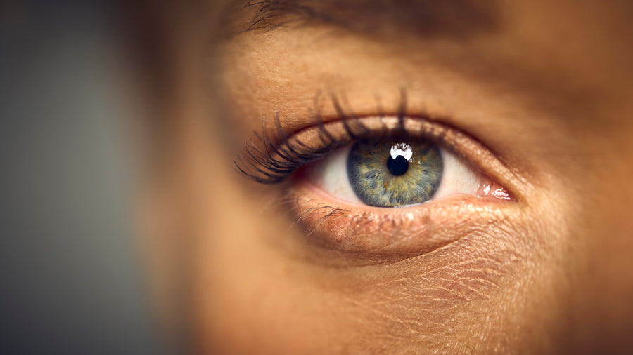 May Support Cognitive Function in Specific Settings<sup style="font-size: 8px;">†</sup>